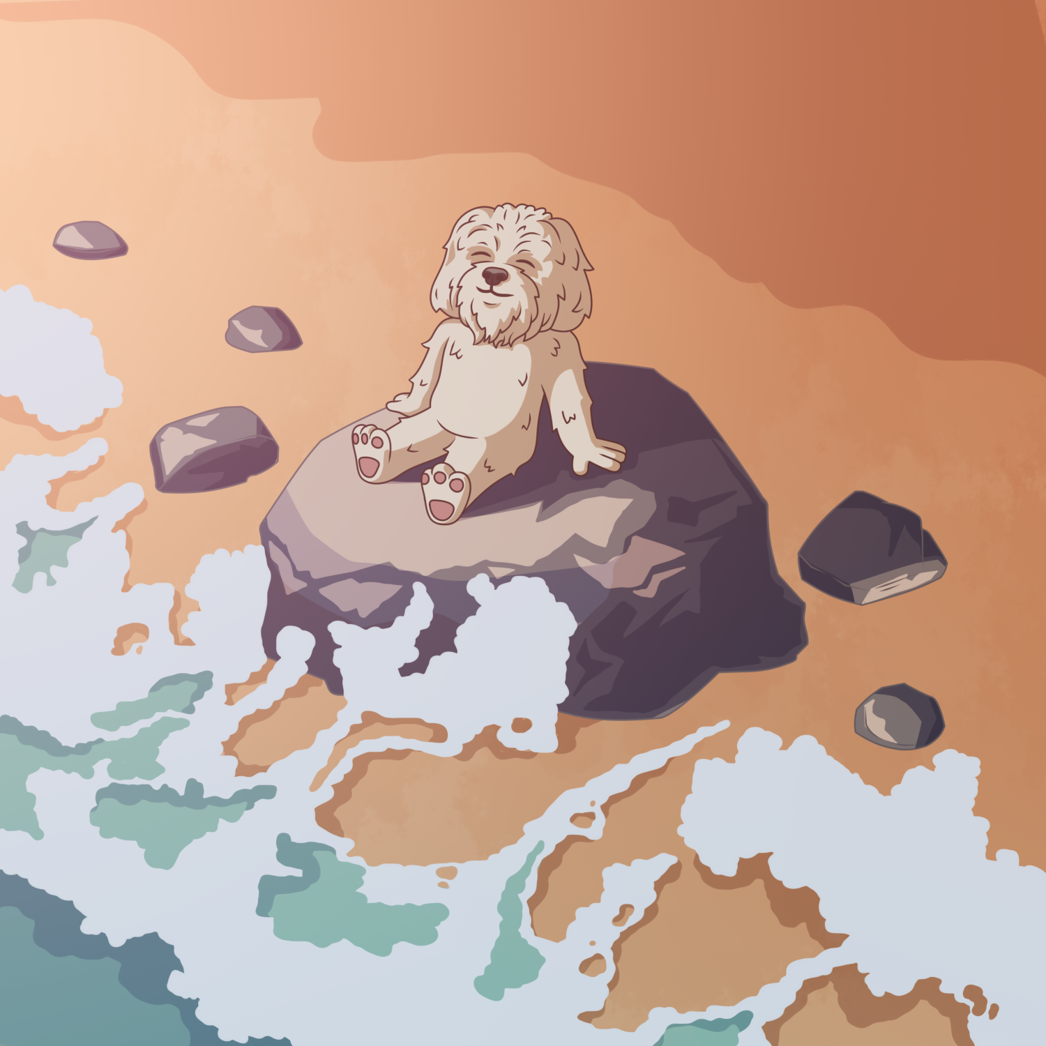 Aerial view of Brodie relaxing on a rock in a river